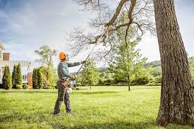 Why Choose Our Tree Removal Services in Carleton, MI?