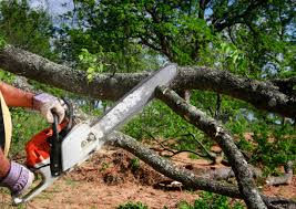 Carleton, MI  Tree Services Company