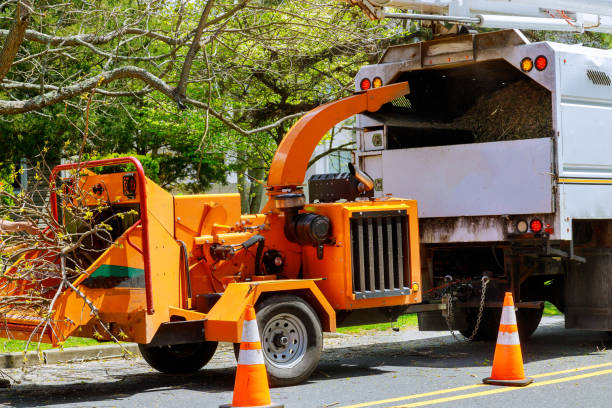 Best Firewood Processing and Delivery  in Carleton, MI